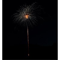 White Strobe 13 Schuss (NICO) – Bild 3